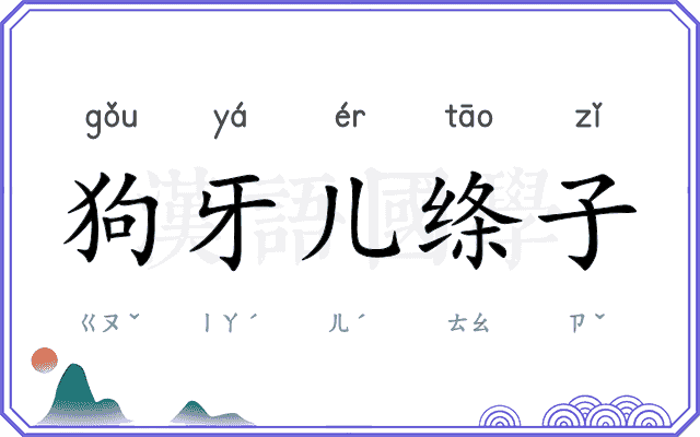 狗牙儿绦子 狗牙儿绦子