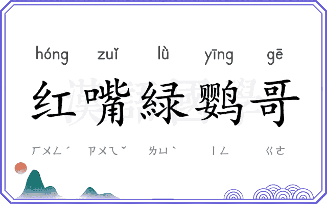 红嘴緑鹦哥