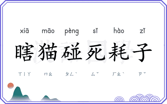 瞎猫碰死耗子 瞎猫碰死耗子