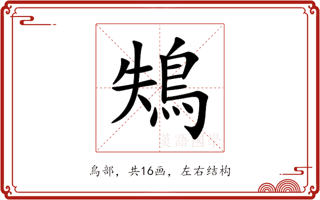 鴩